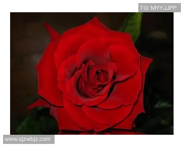 滑板人生的精彩旅程刘秀英分享她的成长与挑战